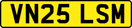 VN25LSM