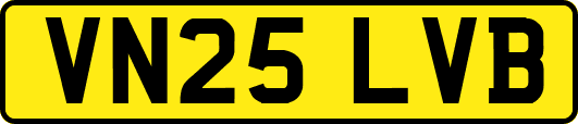 VN25LVB