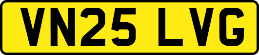 VN25LVG