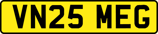 VN25MEG