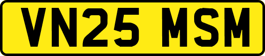 VN25MSM