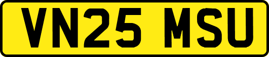 VN25MSU