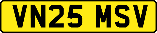 VN25MSV