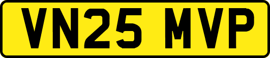 VN25MVP