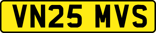 VN25MVS
