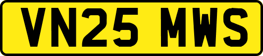 VN25MWS