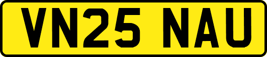 VN25NAU