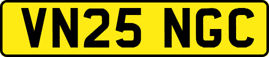 VN25NGC