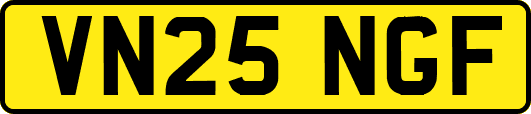 VN25NGF
