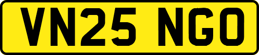 VN25NGO