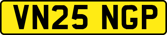 VN25NGP