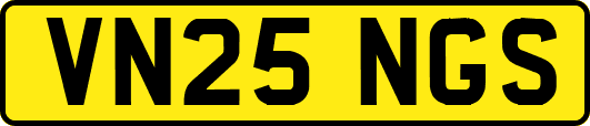 VN25NGS