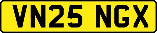 VN25NGX