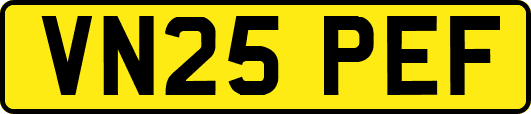 VN25PEF