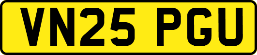 VN25PGU