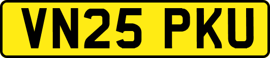 VN25PKU