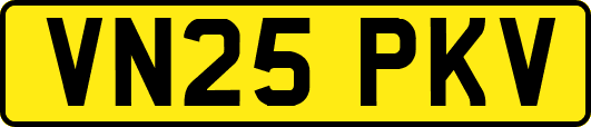 VN25PKV