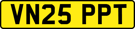 VN25PPT