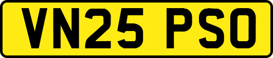 VN25PSO