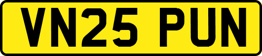 VN25PUN