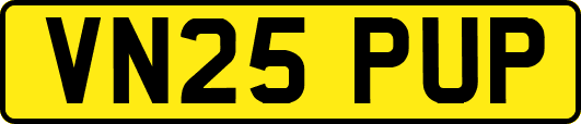 VN25PUP