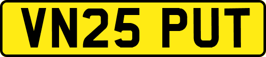 VN25PUT