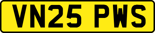 VN25PWS