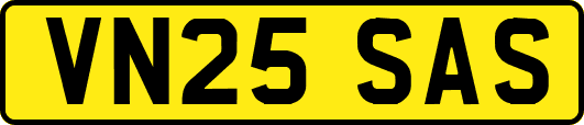 VN25SAS
