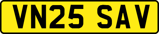 VN25SAV