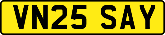 VN25SAY