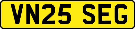 VN25SEG