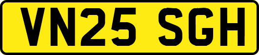 VN25SGH