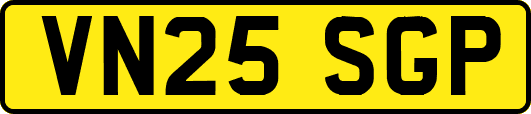 VN25SGP