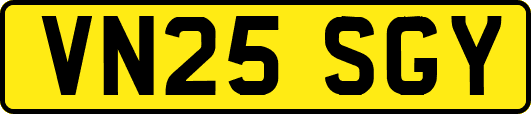 VN25SGY