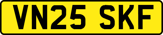 VN25SKF