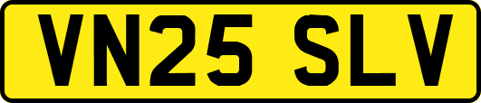 VN25SLV