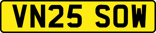 VN25SOW
