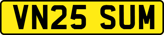 VN25SUM