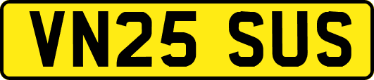 VN25SUS