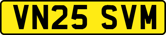 VN25SVM