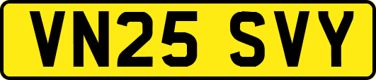 VN25SVY