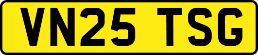 VN25TSG