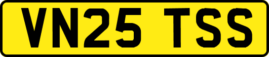 VN25TSS