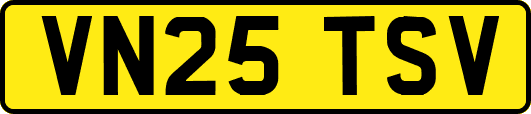 VN25TSV