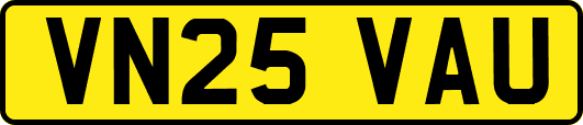 VN25VAU