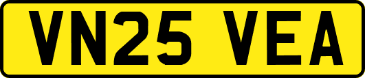 VN25VEA