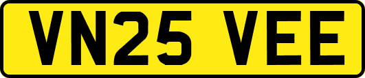 VN25VEE