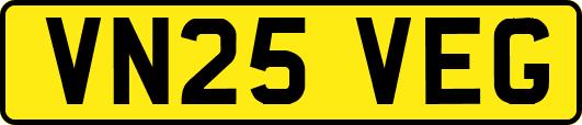 VN25VEG