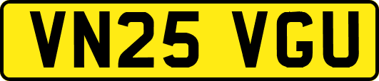 VN25VGU