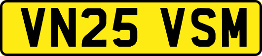 VN25VSM